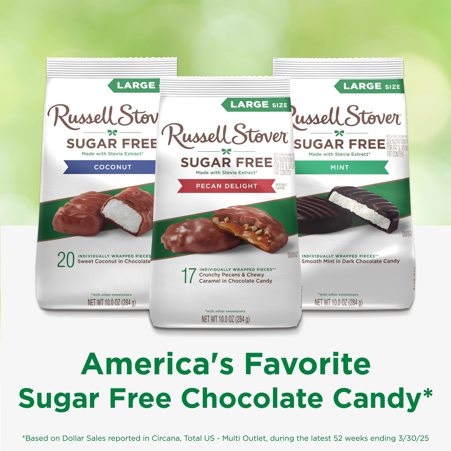 RUSSELL STOVER Sugar Free Pecan Delight Chocolate Candy, 10 oz. bag